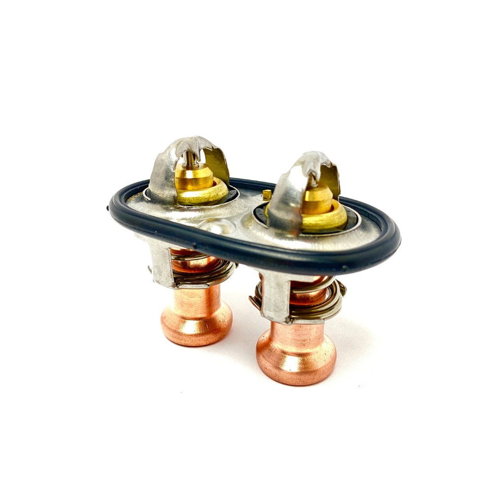 GT500 Cooling System