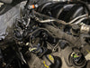 5.0L Coyote -12AN Valve Cover Breather Adapter