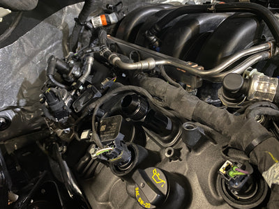 5.0L Coyote -12AN Valve Cover Breather Adapter