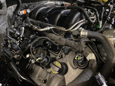 5.0L Coyote -12AN Valve Cover Breather Adapter